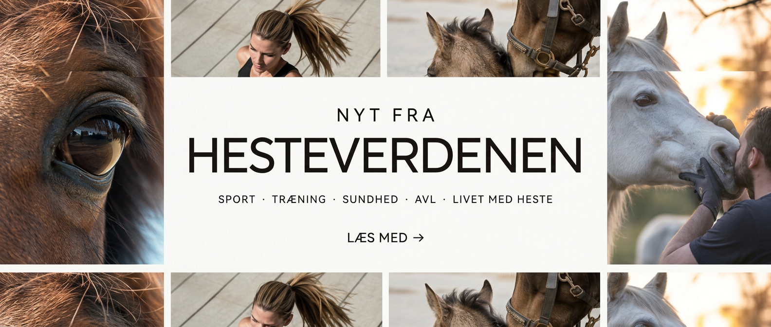 Nyt fra hesteverdenen – indhold