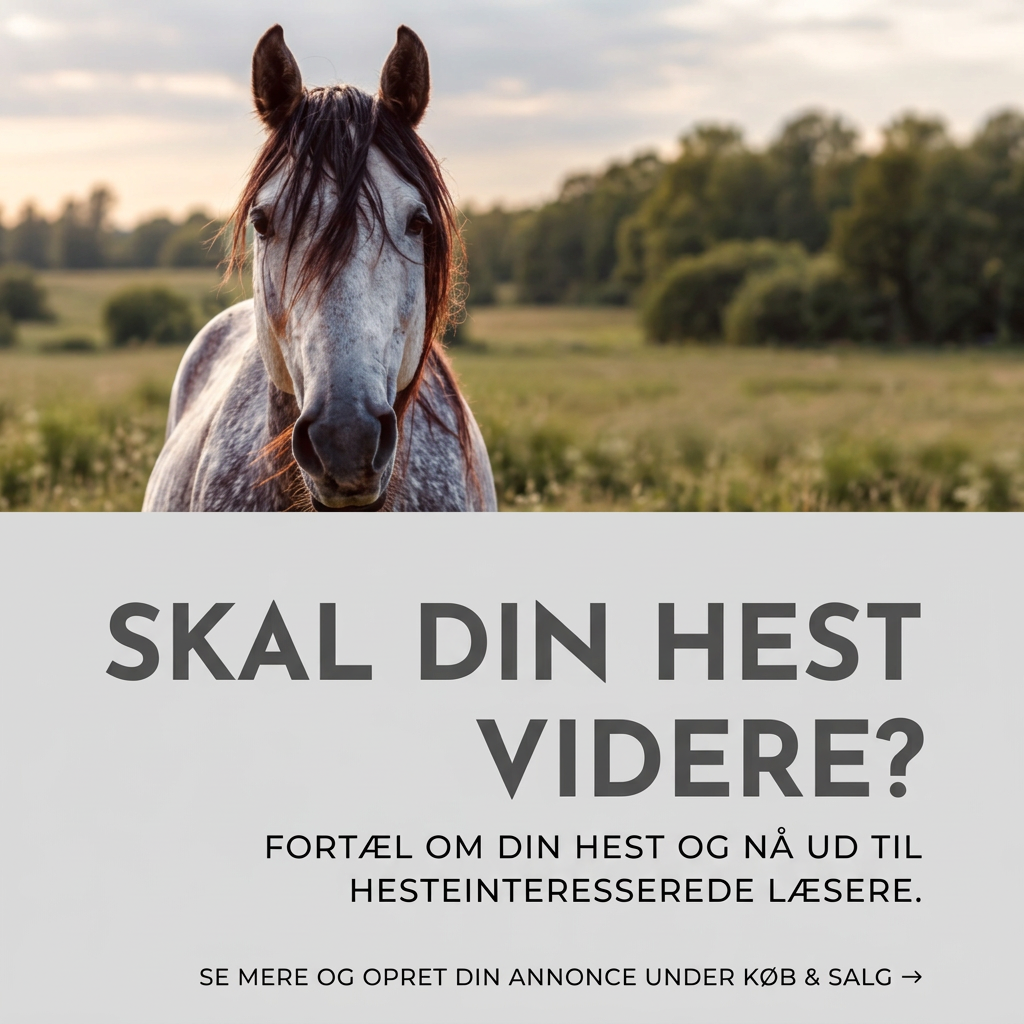 Skal din hest videre – side